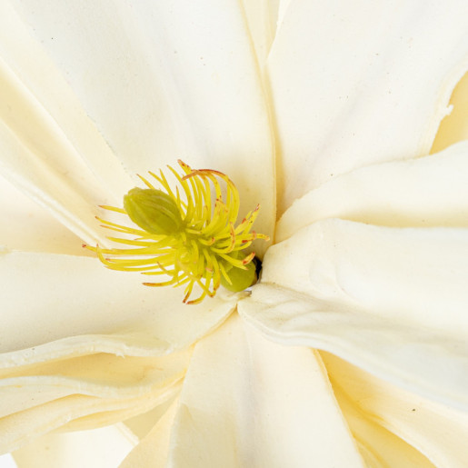 Set 6 flores artificiales blanco