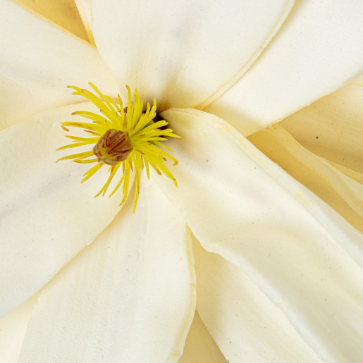 Set 6 flores artificiales blanco