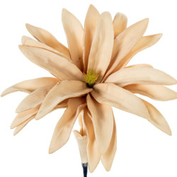 Set 6 flores artificiales beige