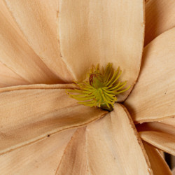 Set 6 flores artificiales beige