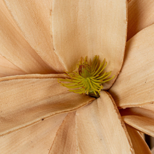 Set 6 flores artificiales beige