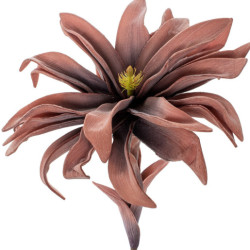 Set 6 flores artificiales coral
