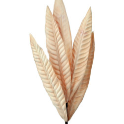 Set 6 ramas hojas artificiales beige