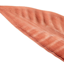 Set 6 ramas hojas artificiales coral