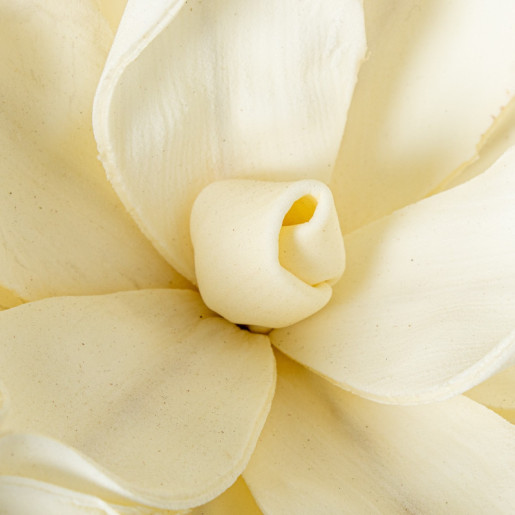 Set 6 flores artificiales blanco