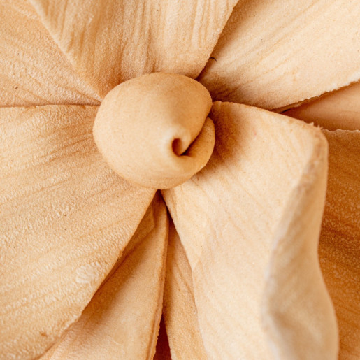 Set 6 flores artificiales beige