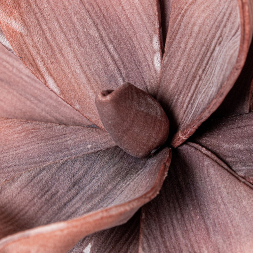 Set 6 flores artificiales coral