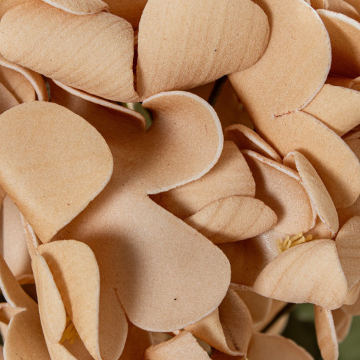 Set 6 flores artificiales beige