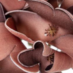 Set 6 flores artificiales coral