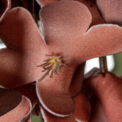 Set 6 flores artificiales coral