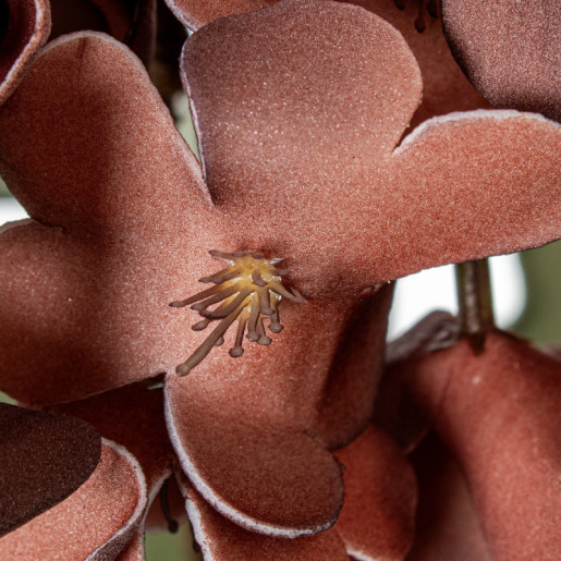 Set 6 flores artificiales coral