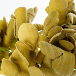 Set 6 flores artificiales amarillo