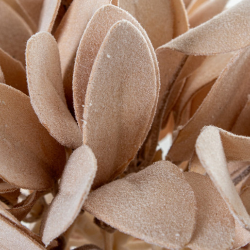 Set 6 flores artificiales beige