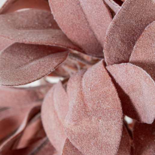 Set 6 flores artificiales coral