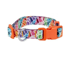 Collar perro