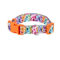 Collar perro