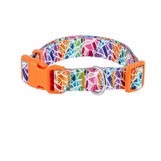 Collar perro
