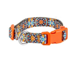 Collar perro