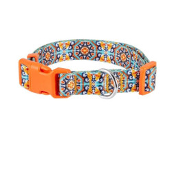 Collar perro