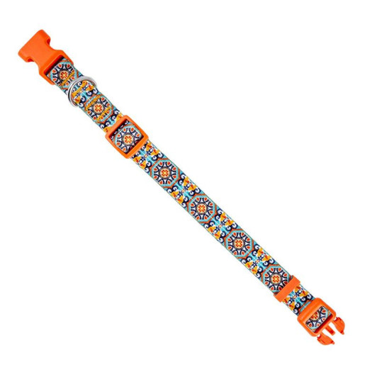 Collar perro