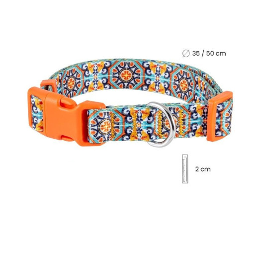Collar perro