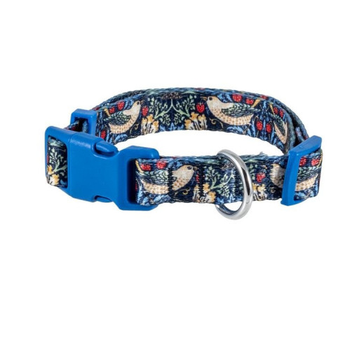 Collar perro