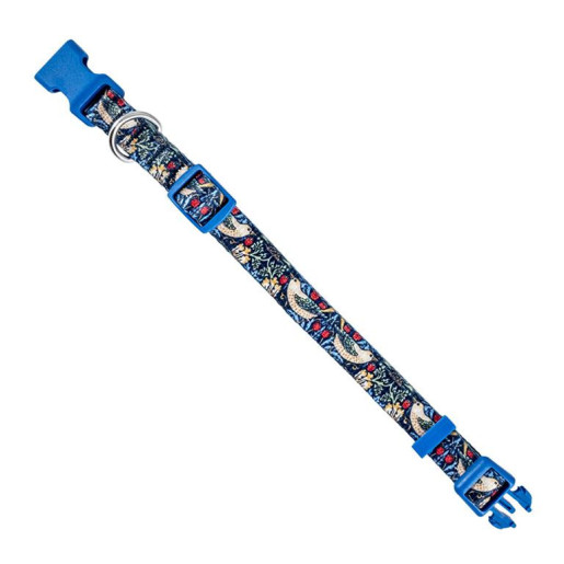 Collar perro