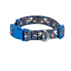 Collar perro