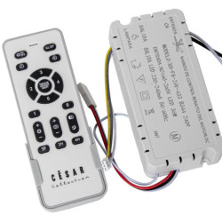 Control remoto gris claro