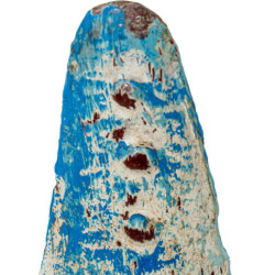 Figura estrella de mar azul y blanco