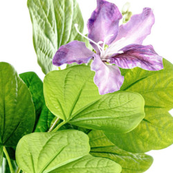 Planta artificial violeta