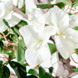Planta artificial blanco