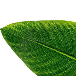 Planta artificial verde