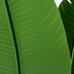Planta artificial verde