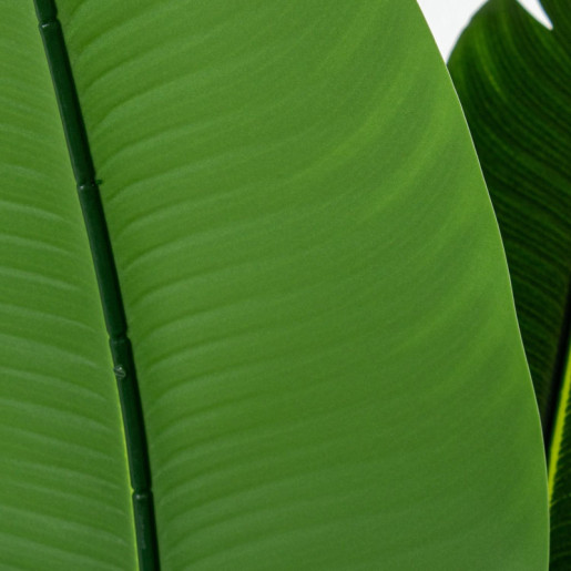 Planta artificial verde