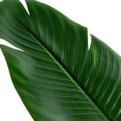 Planta artificial verde