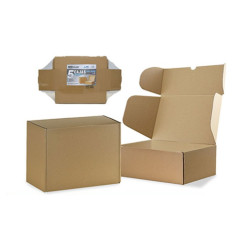Caja carton automontante Marron
