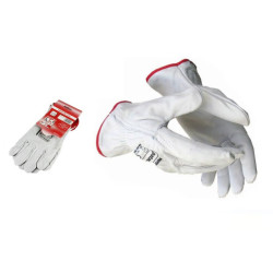 Set 12 juegos guantes Blanco