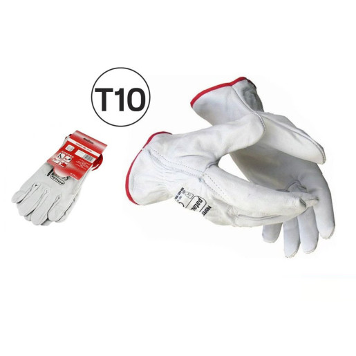 Set 12 juegos guantes Blanco
