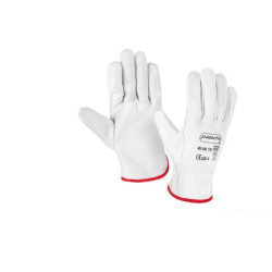 Set 12 juegos guantes Blanco