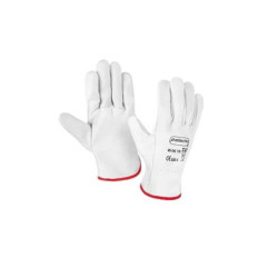 Set 12 juegos guantes Blanco