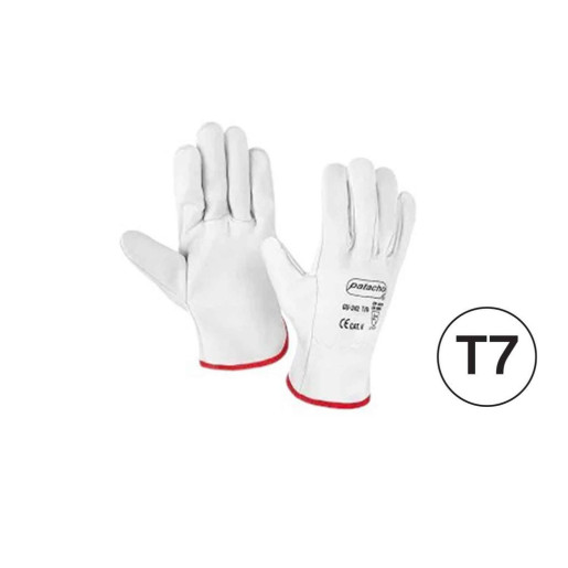 Set 12 juegos guantes Blanco