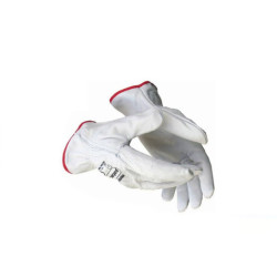 Set 12 juegos guantes Blanco