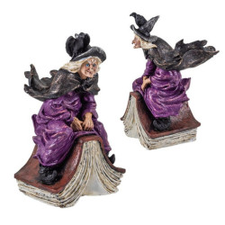 Set de 4 brujas variadas Multicolor