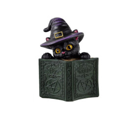 Figura gato brujo Multicolor
