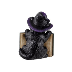 Figura gato brujo Multicolor