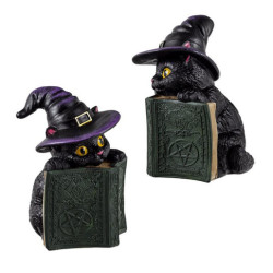 Figura gato brujo Multicolor