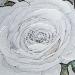 Set 2 cuadros lienzo blanco, verde y gris