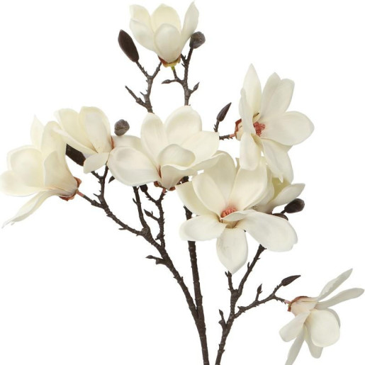 Set 6 flores artificiales crema