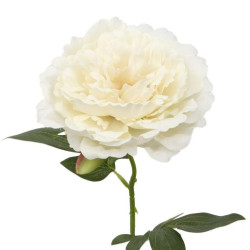 Set 12 flores artificiales crema